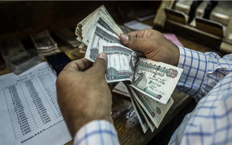 بوابة مصر الرقمية.. خطوات فحص استحقاق حزمة الحماية الاجتماعية قبل رمضان 2026